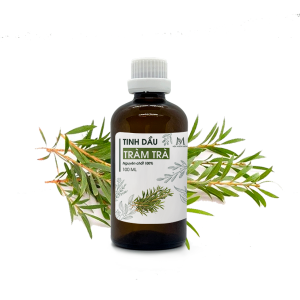 Tinh Dầu Tràm Trà Nguyên Chất 100ml Mộc Nhiên Hương Tinh Dầu Tràm Trà Nguyên Chất 100ml Mộc Nhiên Hương